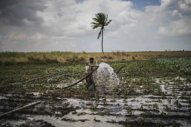 A farmer carries a hose to water his field, where the Catholic Organisation CARITAS provides counselling to farmers affected by the recent cyclones in Tica, near Beira on August 21, 2019. Pope Francis is scheduled to visit Mozambique, Madagascar and Mauritius in a pastoral visit from September 4th to September 10th. (Photo by Marco Longari/AFP Photo)