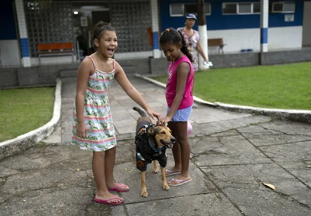 Children pet police dog “Corporal Oliveira” at the 17 Military Police Battalion's station, in Rio de Janeiro, Brazil, Thursday, April 7, 2022. Oliveira has his own Instagram profile with more than 45,000 followers. (Photo by Silvia Izquierdo/AP Photo)