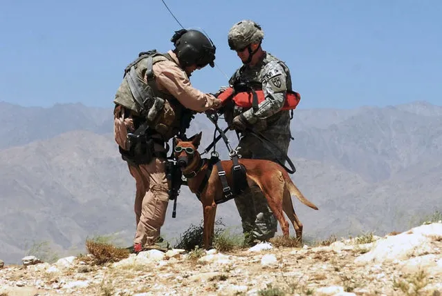 Afghanistan: Dogs of War Part 1