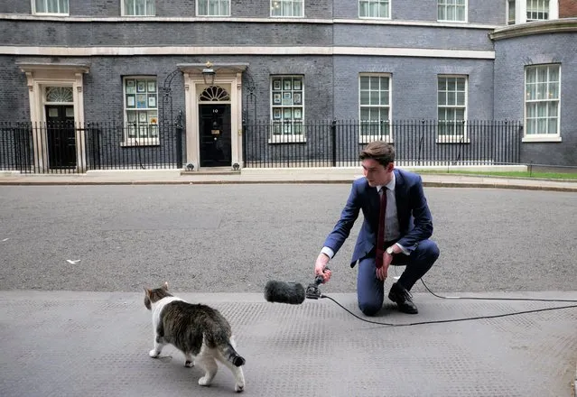 A television presenter poses next to Larry the Cat outside 10 Downing Street in London, Britain, April 12, 2022. (Photo by Henry Nicholls/Reuters)