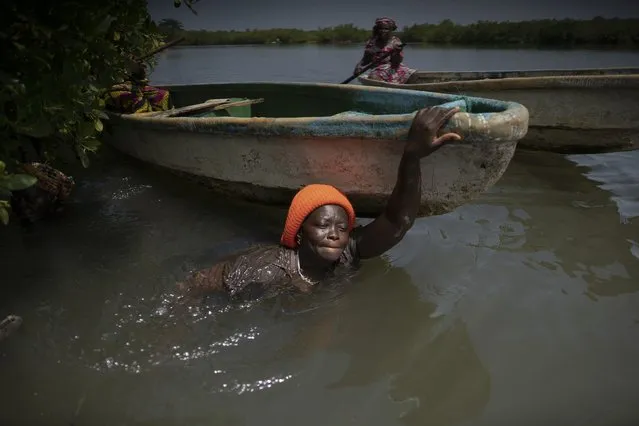 Rose Jatta pulls her boat into the estuary waters as she looks for fish traps she had set up earlier in the mangrove of the Gambia river in Serrekunda, Gambia, Saturday, September 25, 2021. As health officials in Gambia and across Africa urge women to be vaccinated, they've confronted hesitancy among those of childbearing age. Although data on gender breakdown of vaccine distribution are lacking globally, experts see a growing number of women in Africa's poorest countries consistently missing out on vaccines. Jatta fears the vaccine against COVID-19 could make her ill, leaving her two children without food on the dinner table. (Photo by Leo Correa/AP Photo)