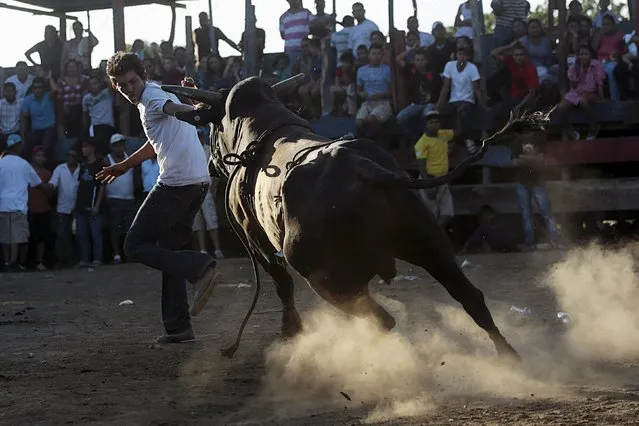 A man runs away from a bull during festivities honouring the capital's patron saint Santo Domingo de Guzman in Managua, Nicaragua August 2, 2015. (Photo by Oswaldo Rivas/Reuters)