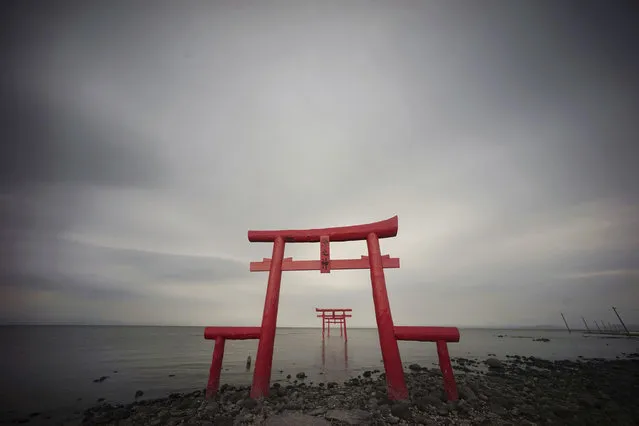 Small shrine arches or “Torii” gates stand on the shore and out into the Ariake Sea in Tara, Saga Prefecture, southwestern Japan, Friday, May 5, 2017. (Photo by Eugene Hoshiko/AP Photo)