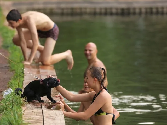 People play with a dog near the pond in Sokolniki park during hot weather in Moscow, Russia on August 5, 2022. (Photo by Evgenia Novozhenina/Reuters)