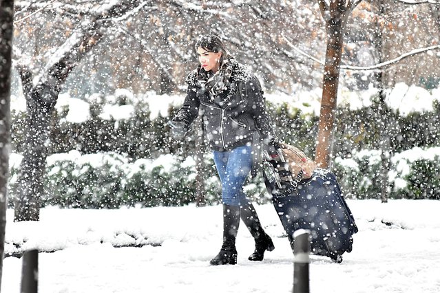 In Belgrade, the snow in December caused problems for some, and brought joy to others on December 24, 2024. (Photo by Milan Ilic/BetaPhoto)