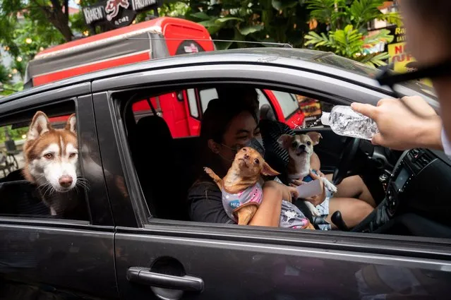 A priest sprinkles holy water at dogs at a drive-through pet blessing, ahead of World Animal Day, at a mall in Quezon City, Metro Manila, Philippines on October 2, 2022. (Photo by Lisa Marie David/Reuters)