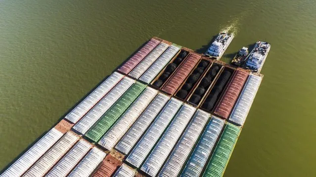 An aerial photo made with a drone shows barges and tow boats on the Ohio River at the junction with the Mississippi River at Cairo, Illinois, USA, 20 October 2022. The Mississippi River, a main route of commercial barge traffic for grains, wheat, and coal, is historically low causing major supply chain disruptions. Barge freight rates have increased dramatically from draft levels reductions in the Mississippi River system as farmers harvest crops and need the river to get them to markets around the world. (Photo by Tannen Maury/EPA/EFE)