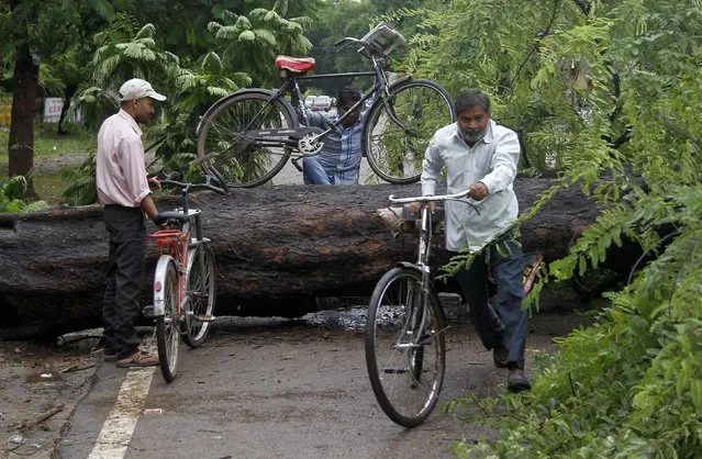 A cyclist (C) carries his bicycle over a fallen tree on a road after a wind storm in the northern Indian city of Allahabad October 14, 2014. (Photo by Jitendra Prakash/Reuters)