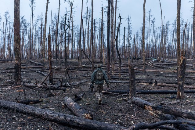 Ukrainian infantryman walks through a forest towards his infantry position in the direction of Kreminna, Donetsk Oblast, Ukraine, on February 15, 2024. (Photo by Diego Herrera Carcedo/Anadolu via Getty Images)