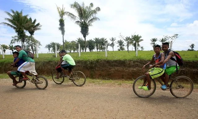 Colombian Nukak Maku Indian youths ride bicycles in San Jose del Guaviare of Guaviare province, September 4, 2015. (Photo by John Vizcaino/Reuters)