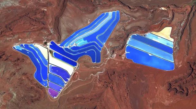 Evaporation ponds are visible at the potash mine in Moab, Utah, USA. The mine produces muriate of potash, a potassium-containing salt that is a major component in fertilisers. The salt is pumped to the surface from underground brines and dried in massive solar ponds that vibrantly extend across the landscape. As the water evaporates over the course of 300 days, the salts crystallise out. The colours that are seen here occur because the water is dyed a deep blue, as darker water absorbs more sunlight and heat, thereby reducing the amount of time it takes for the water to evaporate and the potash to crystallise. (Photo by Benjamin Grant/Penguin Random House)