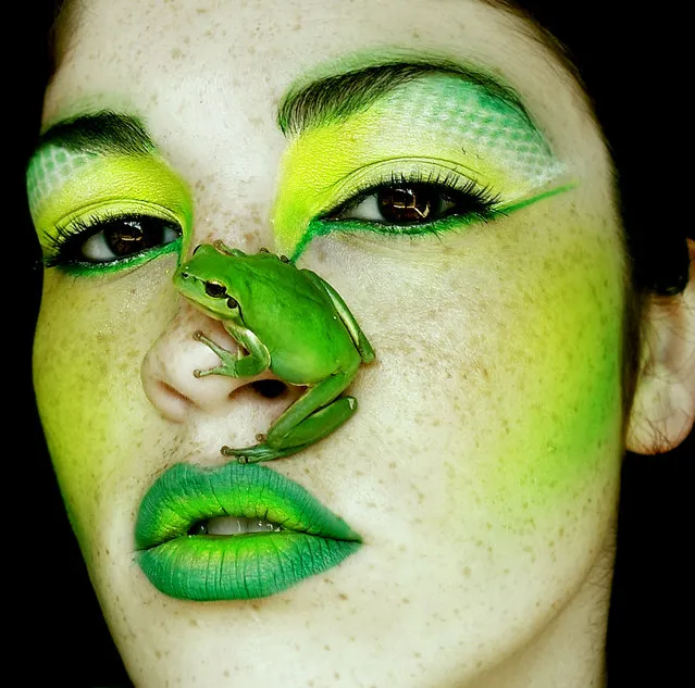 “Like a Frog”. (Sara Morrison)