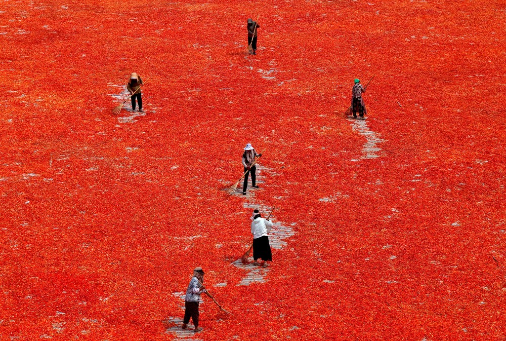 A Look at Life in China