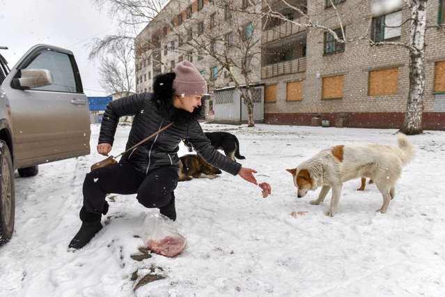 Yulia feeds homeless dogs in Druzhkivka, Donetsk region, eastern Ukraine, 16 February 2023 (Issued 17 february 2023). Yulia is a member of lthe local NGO “Terytoria Dobra” (Territory of kindness), which takes care of homeless animals. In 2021, the international organization “Animal ID” counted 267 homeless dogs in the town. Nowadays, 144 volunteers of “Terytoria Dobra” daily feed 924 dogs and 1392 cats in Druzhkivka. The increase in the number of homeless animals was caused by the war, as many of the people who had to lave their home to seek safety, also had to leave their pets behind. Russian troops entered Ukraine on 24 February 2022 starting a conflict that has provoked destruction and a humanitarian crisis. (Photo by Oleg Petrasyuk/EPA/EFE)