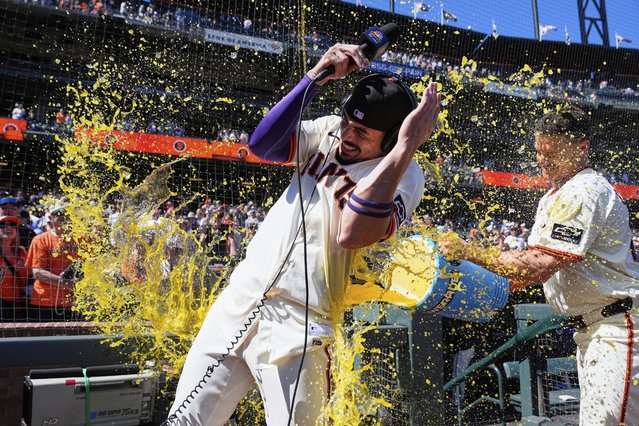 San Francisco Giants' Willy Adames, left, is doused with a sports drink by Matt Chapman after the team's victory over the Chicago Cubs in a baseball game Thursday, August 28, 2025, in San Francisco. (Photo by Godofredo A. Vásquez/AP Photo)