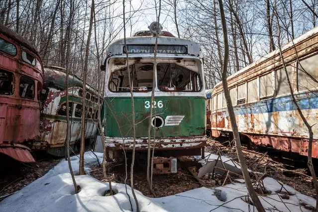 Abandoned trolley graveyard in Pennsylvania. (Photo by Matthew Christopher/Abandoned America/Caters News Agency)