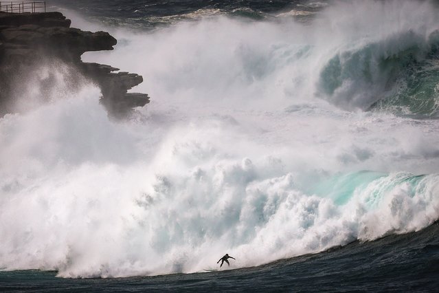 A surfer rides a large wave at Bondi Beach in Sydney on April 1, 2025 as large swells and high winds hit the east coast of Australia. (Photo by David Gray/AFP Photo)
