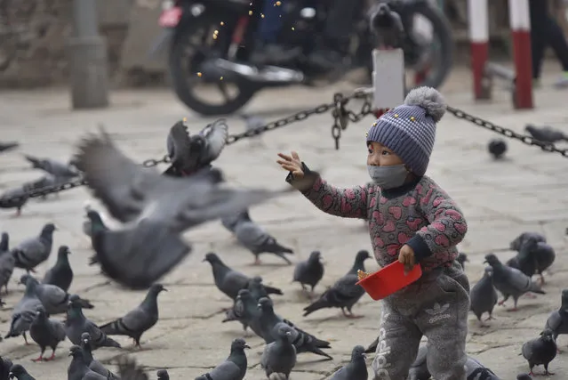 A Little kid offering grains toward pigeons in Basantapur Durbar Square, Kathmandu, Nepal on Monday, January 04, 2021. (Photo by Narayan Maharjan/NurPhoto via Getty Images)