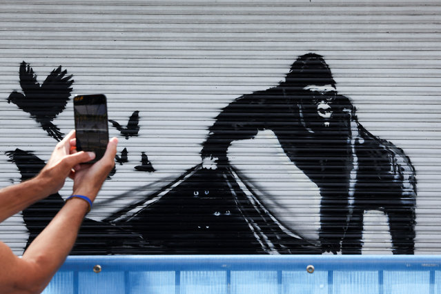 A person takes a photo of the new Banksy artwork at the London Zoo, in London, Britain on August 13, 2024. (Photo by Hollie Adams/Reuters)