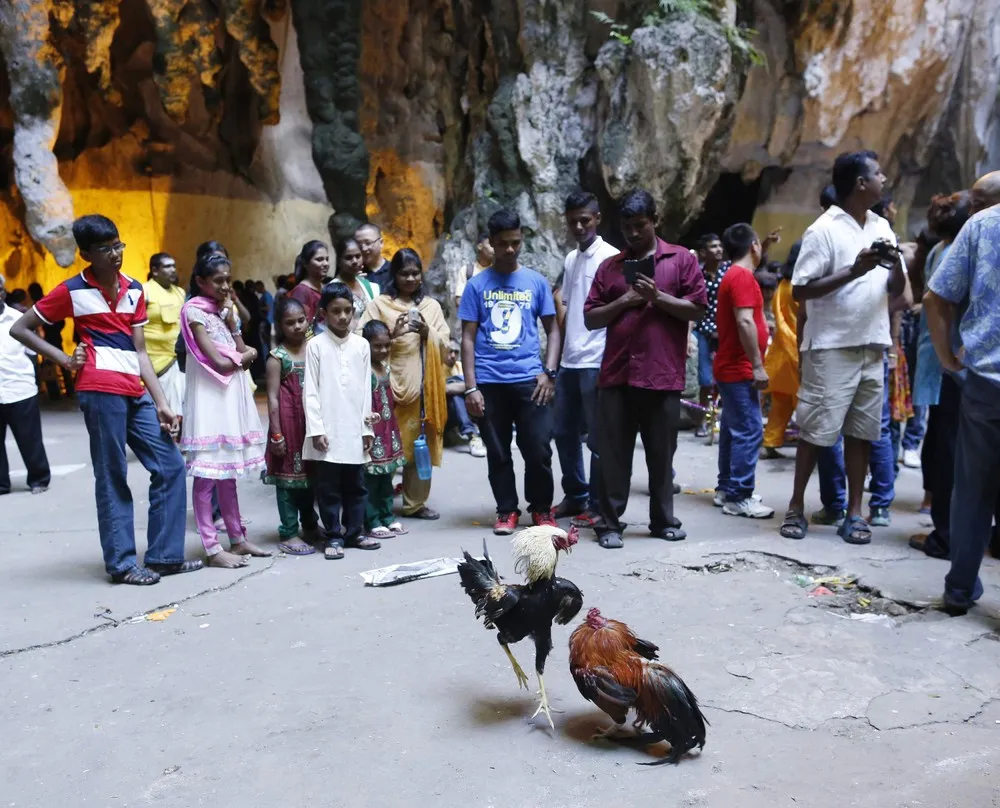 Thaipusam in Malaysia