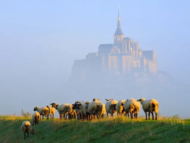 Mont St-Michel In Normandy, France
