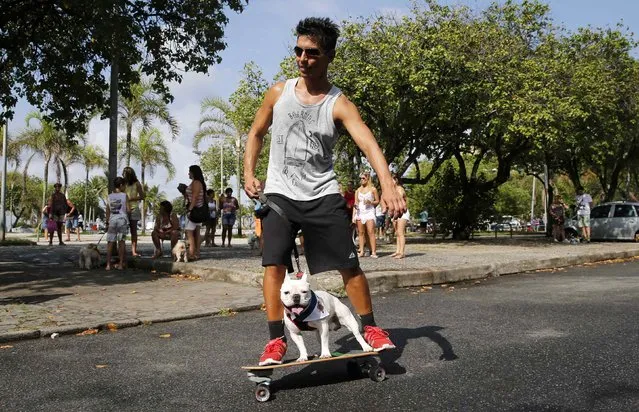 A man performs on a skateboard with his dog as they take part in the “Blocao” or dog carnival parade during carnival festivities in Rio de Janeiro February 14, 2015. (Photo by Sergio Moraes/Reuters)