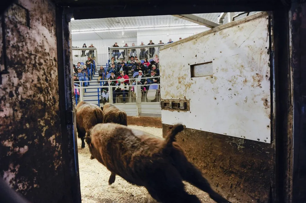 The Day in Photos – January 10, 2016