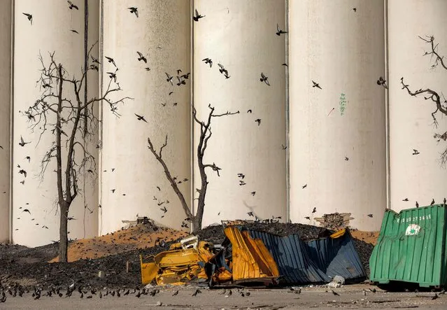 Pigeons fly over destroyed containers near the damaged grain silos at the port of Lebanon's capital Beirut on July 14, 2021, almost a year after the August 4 massive explosion that killed more than 200 people and injured scores of others. (Photo by Patrick Baz/AFP Photo)