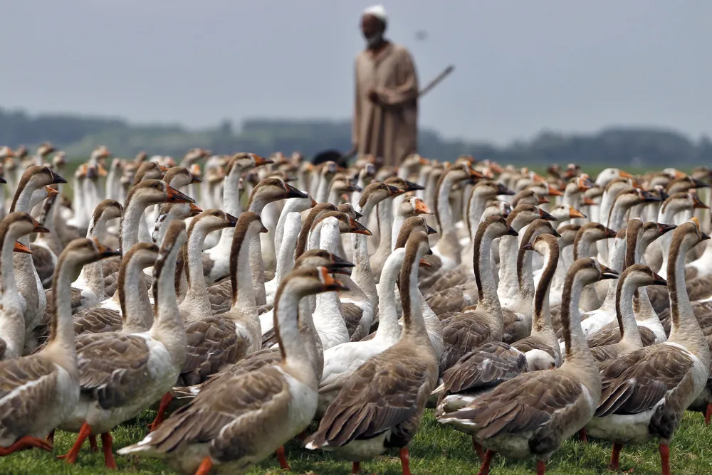 Life in Indian Villages
