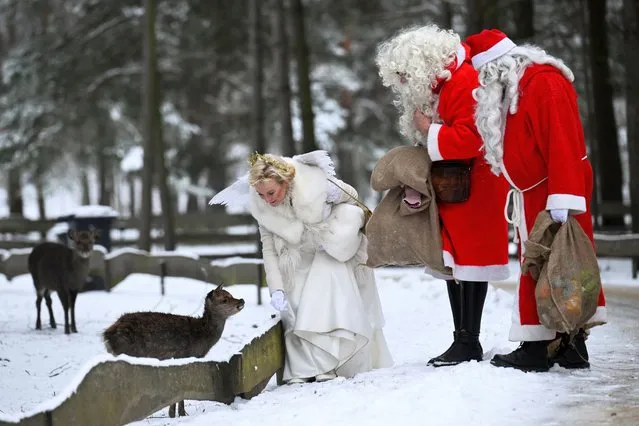 People dressed as Santa Claus and an angel look at roe deer during their annual meeting at the animal park Germendorf in Oranienburg, Germany on December 3, 2023. (Photo by Annegret Hilse/Reuters)