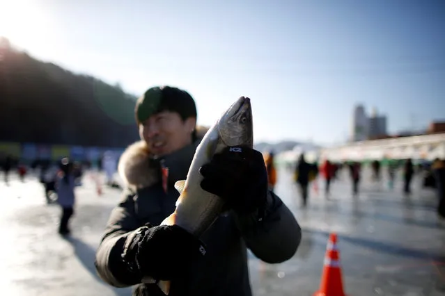 A man holds up a trout on a frozen river in Hwacheon, south of the demilitarized zone (DMZ) separating the two Koreas, January 14, 2017. (Photo by Kim Hong-Ji/Reuters)