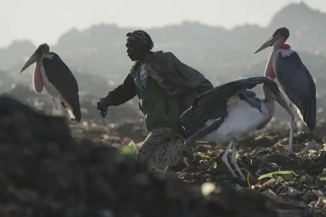 A woman who scavenges recyclable materials for a living, center, walks past Marabou storks feeding on a mountain of garage amidst smoke from burning trash at Dandora, the largest garbage dump in the capital Nairobi, Kenya Wednesday, March 20, 2024. U.N. agencies have warned that electrical and electronic waste is piling up worldwide while recycling rates continue to remain low and are likely to fall even further. (Photo by Brian Inganga/AP Photo)