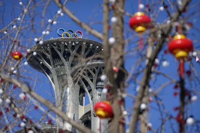 Lantern decorations are hung on trees on the Olympic Green near the Olympic Tower at the 2022 Winter Olympics, Tuesday, February 1, 2022, in Beijing. Millions of people in China and beyond are celebrating the Lunar New Year holiday on Tuesday. (Photo by Mark Schiefelbein/AP Photo)