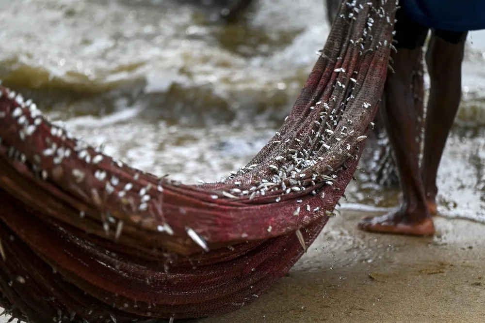 A Look at Life in Sri Lanka