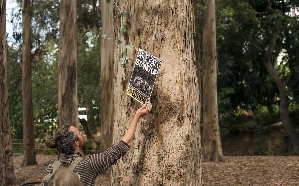 The Day in Photos – July 18, 2015