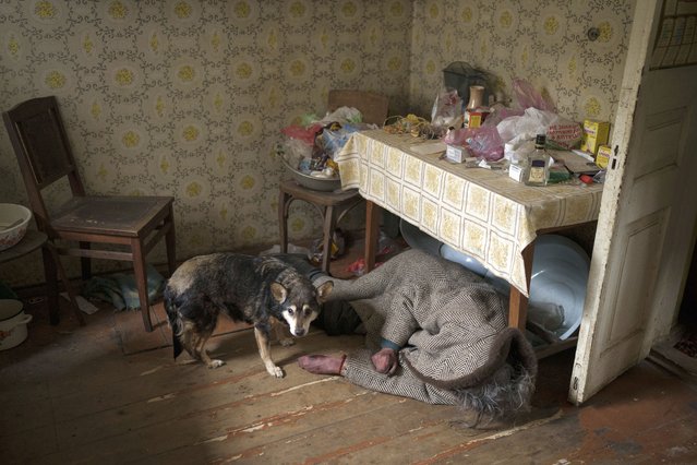 A dog stands next to the body of an elderly woman killed inside a house in Bucha, outskirts of Kyiv, Ukraine, Tuesday, April 5, 2022. (Photo by Felipe Dana/AP Photo)
