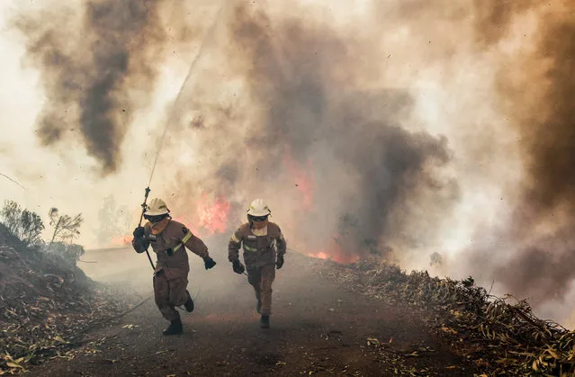 Portuguese Republican National Guard soldiers battle with a forest fire in Capela Sao Neitel, Alvaiazere, central Portugal, 18 June 2017. At least sixty two people have been killed in forest fires in central Portugal, with many being trapped in their cars as flames swept over a road on the evening of 17 June 2017. A total of 733 firefighters are providing assistance. (Photo by Paulo Cunha/EPA)