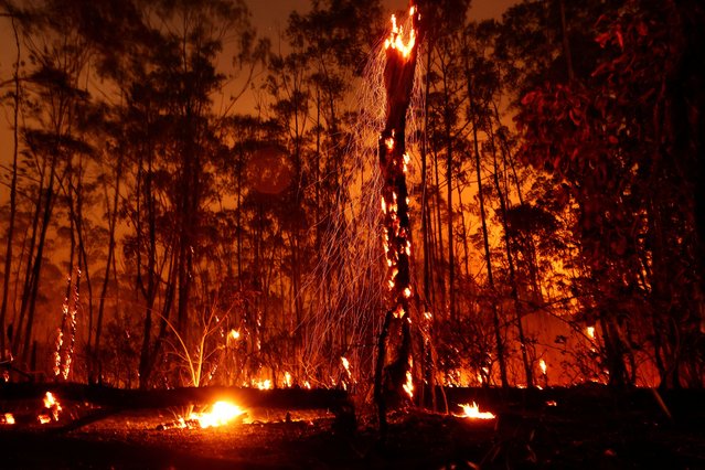 Flames rise from wildfires in Brasilia's National Forest in Brasilia, Brazil on September 4, 2024. (Photo by Ueslei Marcelino/Reuters)