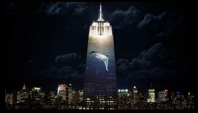 Empire State Building Brings Endangered Animals