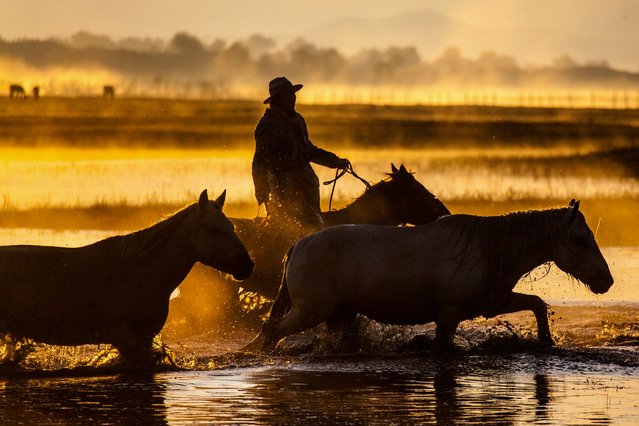 A man riding a horse crosses a river with other horses in the morning in Chifeng, in northern China's Inner Mongolia region on September 22, 2024. (Photo by AFP Photo/China Stringer Network)