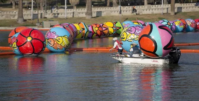 Volunteers transport aboard a boat, inflated spheres to be lowered into MacArthur Park Lake, during the installation of Portraits of Hope's exhibition “Spheres at MacArthur Park” in Los Angeles, California August 21, 2015. (Photo by Mario Anzuoni/Reuters)