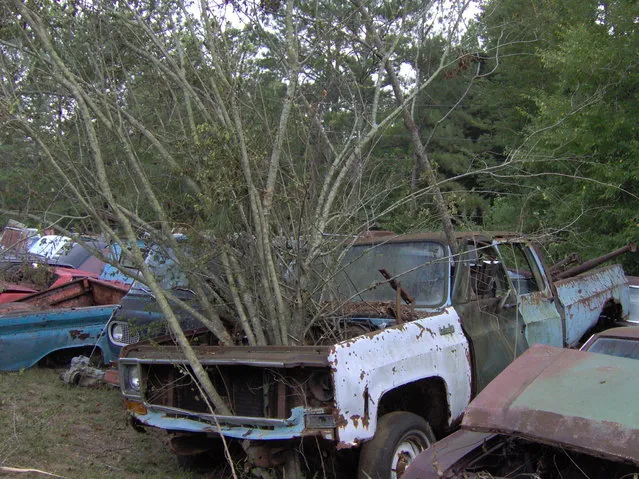 Time, Car, Rust