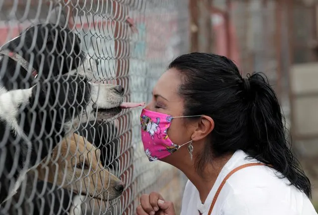 Pet adopter Mary Carmen Arreguin, 41, gestures to dogs behind a fence at San Gregorio animal shelter which is promoting pet adoptions as a way of making quarantine more bearable, while the spread of the coronavirus disease (COVID-19) continues, in El Ajusco, on the southern outskirts of Mexico City, Mexico on April 24, 2020. (Photo by Henry Romero/Reuters)