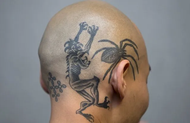 A tattoo enthusiast displays his head tattoos during the International London Tattoo Convention in east London, Britain September 26, 2015. (Photo by Neil Hall/Reuters)