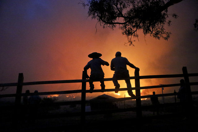 Residents watch the forest burn in Portezuelo, Chile, Sunday, January 29, 2017. The fires were one of the country's biggest natural disasters in decades, according to a government report. (Photo by Esteban Felix/AP Photo)