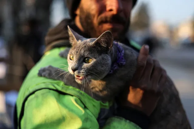 A man holds a cat which he rescued, in the aftermath of a deadly earthquake, in Antakya, Turkey on February 16, 2023. (Photo by Nir Elias/Reuters)