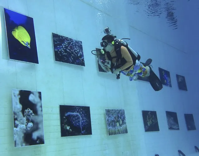 A diver looks at an underwater display of photographs at an exhibition held inside an indoor diving pool at Inner Space club in Beijing, China, November 5, 2015. (Photo by Kim Kyung-Hoon/Reuters)