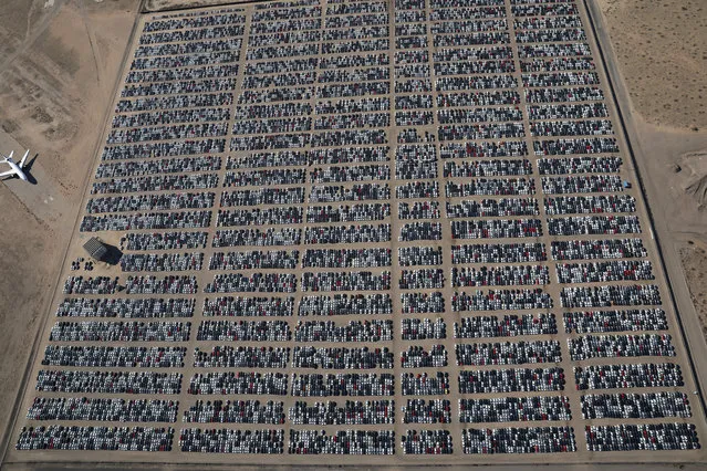 Reacquired Volkswagen and Audi diesel cars sit in a desert graveyard near Victorville, California, March 28, 2018. Volkswagen has taken parking lots to a whole new level in the United States – and will not be emptying them soon. (Photo by Lucy Nicholson/Reuters)