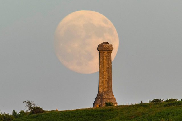 The almost full Strawberry moon rises up in to clear evening sky from behind Hardy Monument near Portesham in Dorset, UK on June 20, 2024. The monument, in the shape of a telescope, was built in 1844 in memory of Vice-Admiral Sir Thomas Masterman Hardy who was Flag Captain of HMS Victory at the battle of Trafalgar. (Photo by Graham Hunt/Alamy Live News)