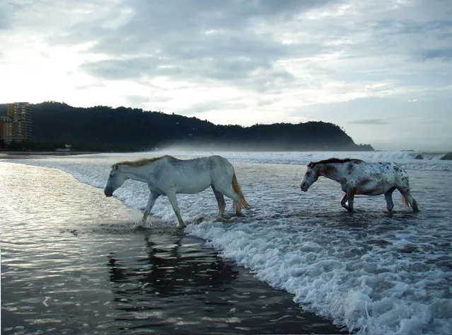 “Morning tide”. Costa Rican Beauty. Location: Jaco, Costa Rica. (Photo and caption by Anthony Sweney/National Geographic Traveler Photo Contest)